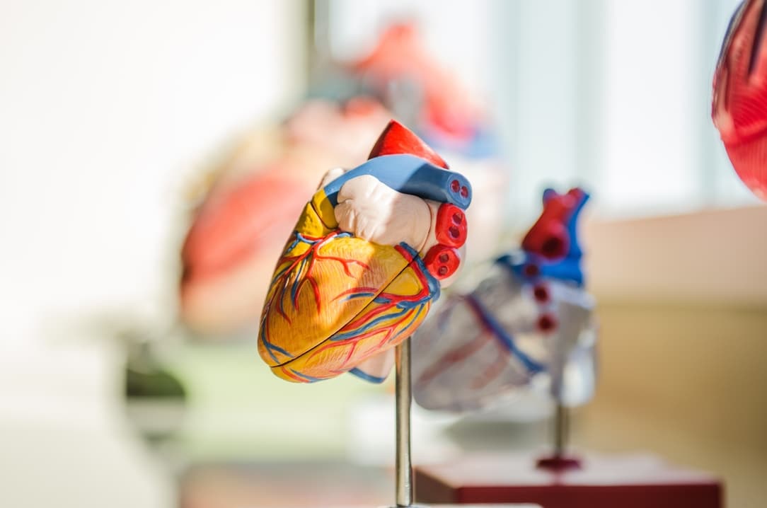 Cardiac care at Cardiovascular Care, P.A.
